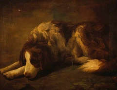 A Dog by Henry Raeburn