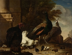 A Hen with Peacocks and a Turkey by Melchior d'Hondecoeter
