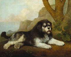A Rough Dog by George Stubbs