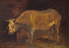An Ox Standing by Rembrandt