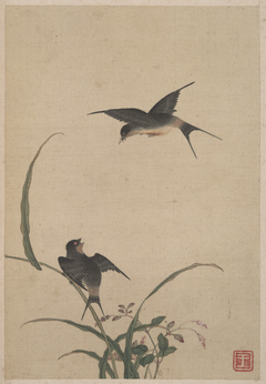 Birds and Flower by Chen Mei