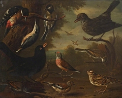 British Birds: Hen Blackbird; Great Tit; Nuthatch; Great Spotted Woodpecker; Cock Whitethroat; Cock Linnet; Cock Blackbird; Woodlark; Hen Linnet and a Hen Whitethroat by Charles Collins