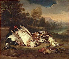 Dead Game in a Landscape: Two Woodcocks and Three Other Birds