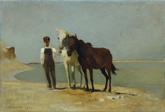 Ein Junge mit Pferden am Strand