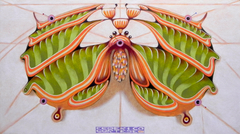 Fibonacci moth by federico cortese