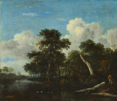 Forest thicket by Jacob van Ruisdael