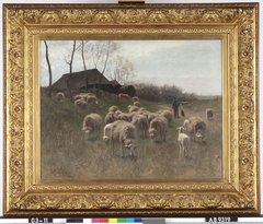 Grazende schapen by Herman Johannes van der Weele