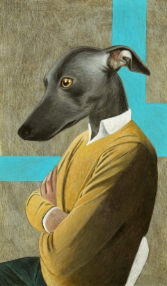 greyhound by Alberto Macone