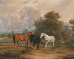 Horses Grazing: Mares and Foals in a Field by Francis Calcraft Turner
