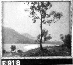 Lac d'Aiguebelette by François Cachoud