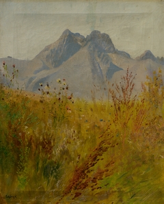 Lomnický Peak by László Mednyánszky
