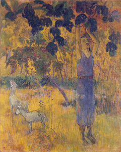 Man Picking Fruit from a Tree by Paul Gauguin