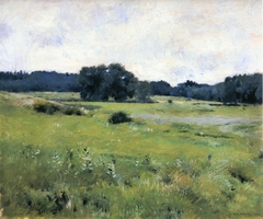 Meadow Lands by Dennis Miller Bunker