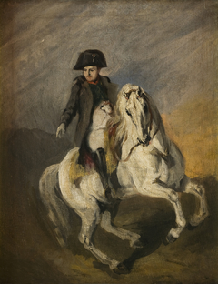Napoleon on a Grey Horse