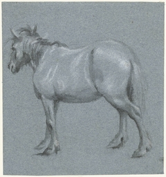 Paard in profiel, naar links by Moses ter Borch
