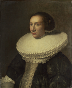 Portrait of a Lady with a Ruff by Michiel Jansz van Mierevelt