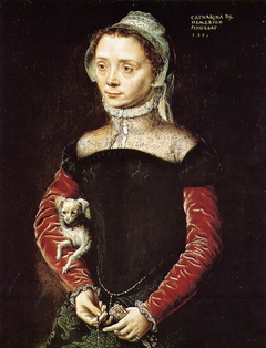 Portrait of a Woman with a Dog by Catharina van Hemessen