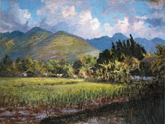 Round Top from Kewalo by D. Howard Hitchcock