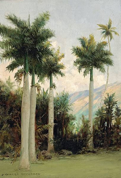 Royal Palms at Moanalua, near Honolulu by D. Howard Hitchcock