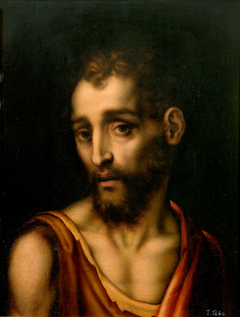 Saint John the Baptist by Luis de Morales