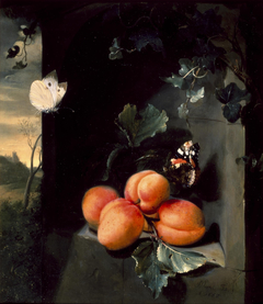 Still Life with Apricots and Butterflies by Jan Mortel