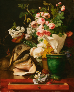 Still Life with Flowers, Shells, a Shark's Head, and Petrifications