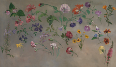 Studies of Flower by Jacques-Laurent Agasse