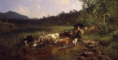Summer Day by the Tarn