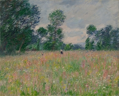 The Flowered Meadow by Claude Monet