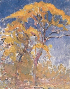 Two trees with orange foliage against blue sky by Piet Mondrian