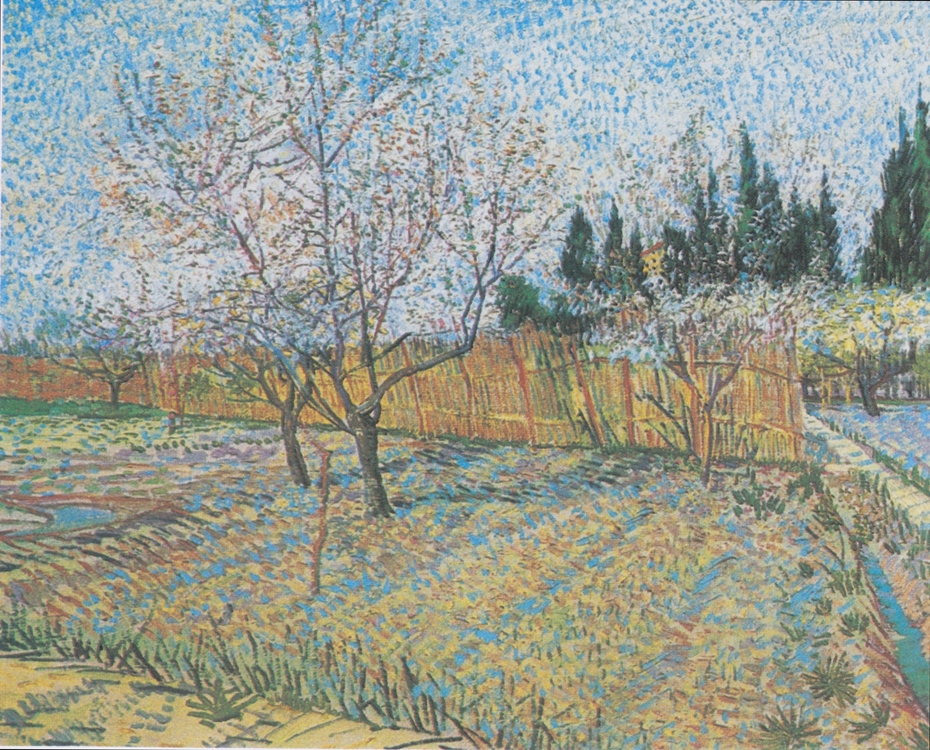 Flowering orchard with peach-trees