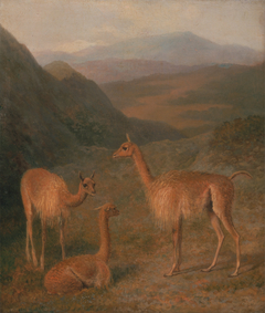 Vicuna by Jacques-Laurent Agasse
