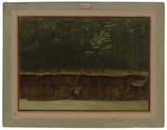 View of the Lower Mississippi by George Catlin