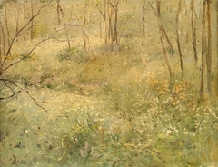 Wild Parsley by Sarah Paxton Ball Dodson