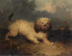 A Dog by George Armfield