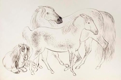 A group of three horses - James Howe - ABDAG002783.30 by James Howe