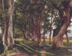 A group of trees in Dyrehaven by Christoffer Wilhelm Eckersberg