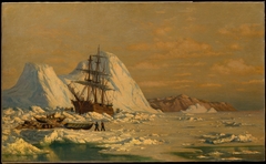 An Incident of Whaling