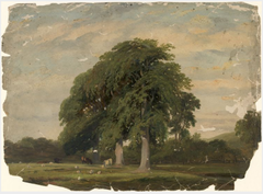 Cattle Grazing by Trees by William Howis junior