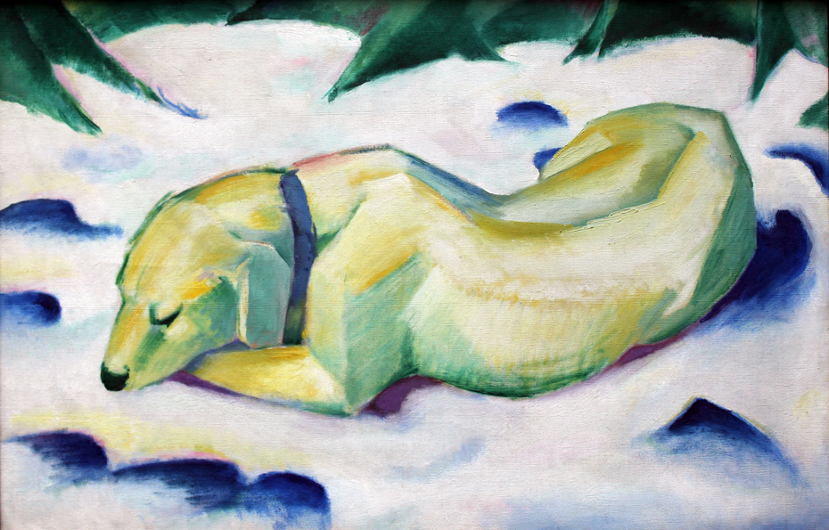 Dog Lying in the snow