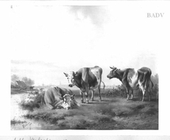 dutch-landscape with three cows
