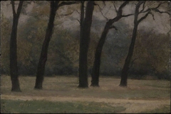 Fall of the Leaves, Kensington Gardens by Paul Maitland