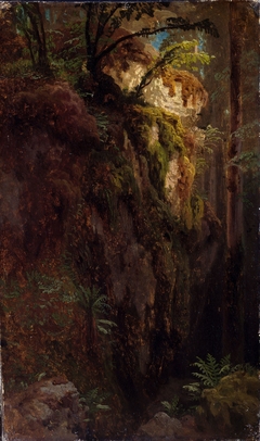 Landscape Study with a Ravine by August Cappelen