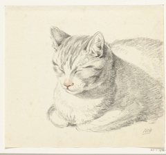 Liggende kat, schuin van voren by Jean Bernard