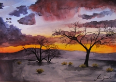 Namibia Sunset Trees