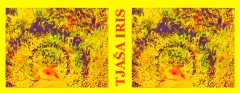 PATH IN THE GARDEN, "Yellow", LE print, edition of 35, 2014 by TJAŠA IRIS