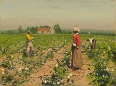 Picking Cotton by Gilbert Gaul