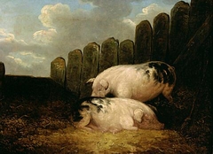 Pigs by George Morland