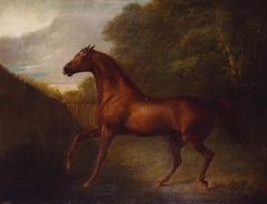 Portrait of a chestnut horse by Charles Henry Schwanfelder