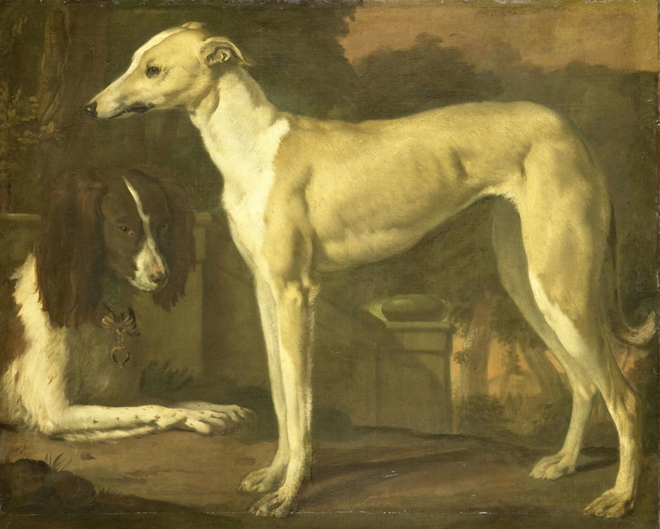 Portrait of a Greyhound and Spaniel